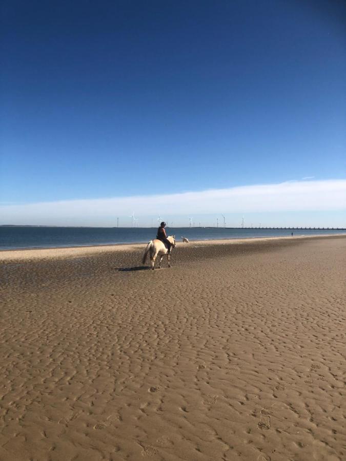 Dorpsdijk 49, Vrouwenpolder Vakantie 외부 사진